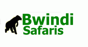 Bwindi Safaris